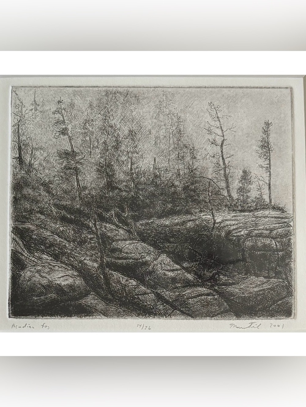 Vintage Framed Marc Fink Acadian Fog Hand Pulled Art Print Black White Gray